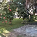 Casa Em Sitio, 12 Minutos Da Praia